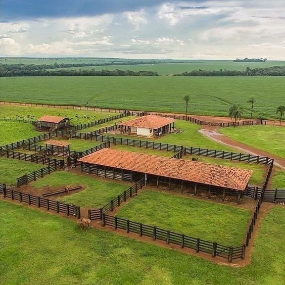 27cf83e433cfcc9768435262a287c096